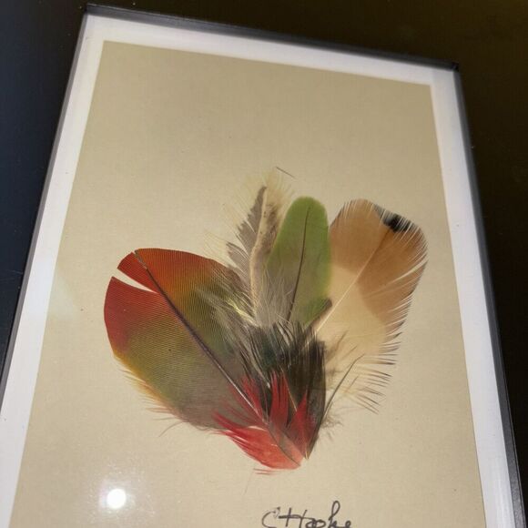 Signed C Hooke Mikmaq Feather Art Native Mi’kmaq Nova Scotia Canada Framed - Picture 4 of 6